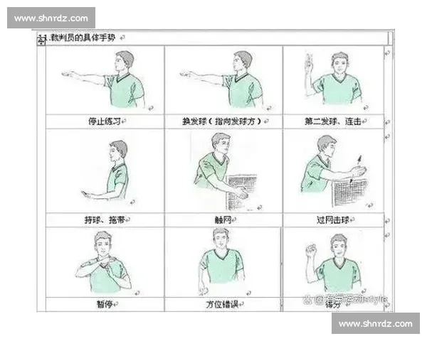 羽毛球比赛规则详解与得分发球站位违例裁判判罚全面入门指南实用 - 副本